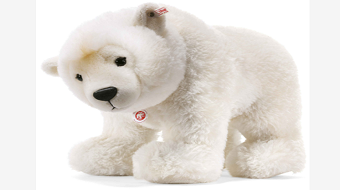 Polar bear